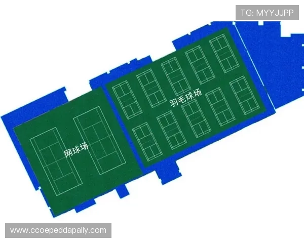 开云综合体育网站如何利用平台资源提升体育知识和比赛技巧
